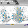 The Battle of Jutland: Its impact on the people of Portsmouth Jutland interactive map