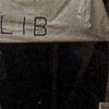 WomenLib (2)