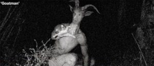 The Goat Man of Washington D.C.