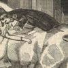 Poisonous Reading – James Greenwood attacks the Victorian ‘penny dreadful’ Varney_the_Vampire_-_Rymer_James_Malcolm cropped